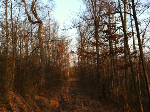 Big Limestone Trail